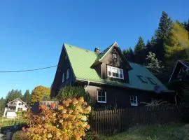 Waldhaus mit Kamin & Aussicht - direkt am "Vogtland Panorama Weg"!