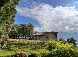 Maso Sasso - La Locanda di Putipù