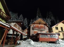 Vila Miruna, hotel in Rausor