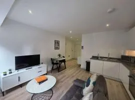 Cozy Studio in Solihull with Parking - NEC or Airport