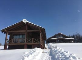 Шале Задільське, hotel v destinaci Dolzhki