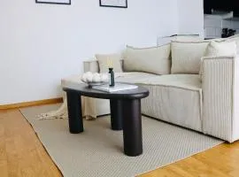 Charmant appartement STRASBOURG