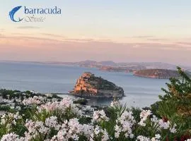 barracudasuite