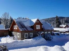 Chalet Schäfer s vyhřívaným bazénem se slanou vodou