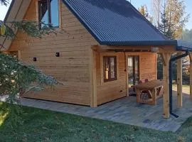 Apartament Szumi las