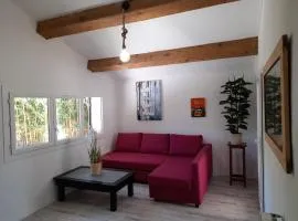 Maison avec jacuzzi et jardin privé, proche plage