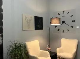 Danube Studio