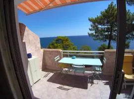 Villa Tarco, South Corsica, Sea View & Garden