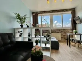 HYPER CENTRE - STUDIO n2 - 2min PLACE KLEBER