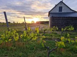 La Petite Loge des Vignes Private Jacuzzi