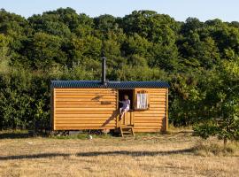 Honeysuckle Shepherds Hut at Blean Bees Eco Glamping, hotel em Canterbury