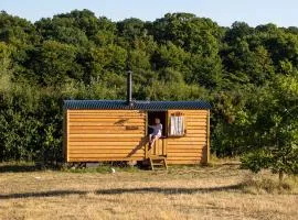 Honeysuckle Shepherds Hut at Blean Bees Eco Glamping