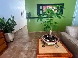 Daisy'Hause 2 to 6 people, ideal for your family