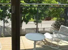 Aisa 39 Külaliskorter