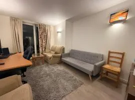 Sky-View Home in Brentwood Essex
