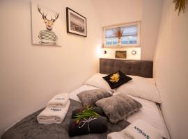 Maya's Flats Dluga 66 Attic