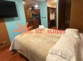 Liz Suites departamentos Manuel Montt