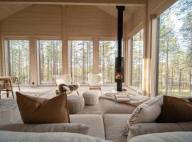 Arctic Design Villa Levi, hotel con tinas de hidromasaje en Levi