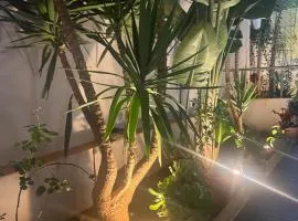 Appartement, Infinity
