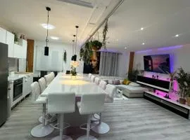 Stag hendo25pax Only 10min to the PARTY area DESPEDIDAS 25pax 10 min de la zona de fiesta Consultar precio