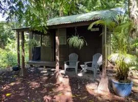 Gecko Hideaway Jungle Getaway