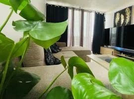 Appartement Confortable