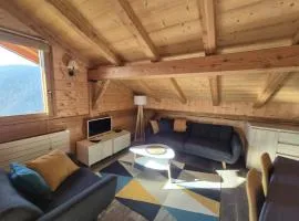 Duplex spacieux avec terrasse sud et animaux admis - FR-1-836-1