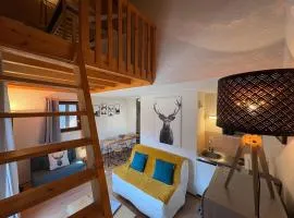 Studio mezzanine avec balcon et parking privé - FR-1-836-9