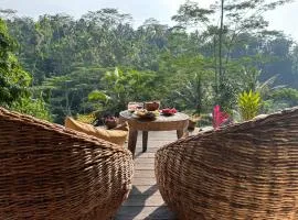 The Jungle Nook - Valley View Cottage