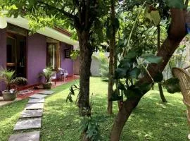 The Little House