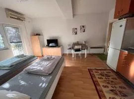 Skopje&Friends Central APP