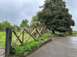 Niko Mamasakhlisi Guest House