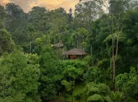 The Woods Resorts Wayanad