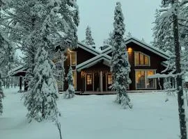 Levinkruunu B Visit Levi