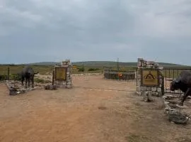 Langeverwacht Eco Retreat