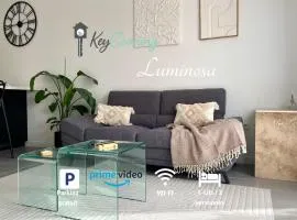 Luminosa T2 lumineux proche Airbus parking