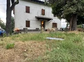 Casetta Pierluigi