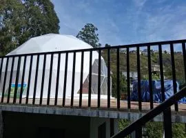 Dreamy Wonders Domes