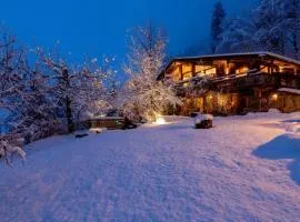 Luxus-Chalet Mühlermoos