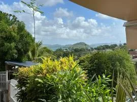 APPARTEMENT COSY TERRASSE VUE MER - TROIS ÎLETS