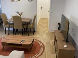 Appartement agréable Orleans centre-ville