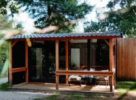 Forest Cabin in the woods