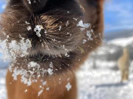 Alpenchal&eacute;t Alpakablick