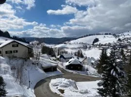 Fewo Herzgrün - zu Fuß zu Lift & Loipe traumhafte Aussicht mit Sauna im Haus Tiefgarage E-Ladestation