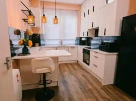 Newly Renovated West End Apartment