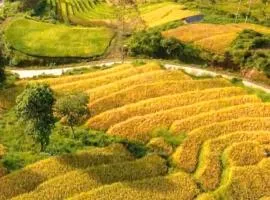 Sapa Tatu Homestay