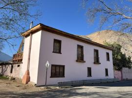 Hostal Casa Rosada, Vicuña, Valle del Elqui, hotel en Rivadavia