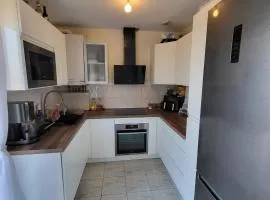 Découvrez la route des vins et les marchés de Noël