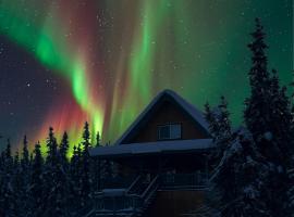 Aurora Ridge Cabin Stunning Views & Aurora Skies, hotel in Fairbanks