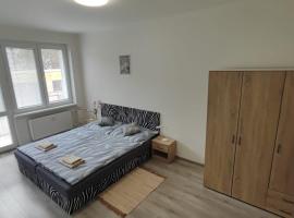 Apartmán V Kraslicích pro 4 osoby, Pohraniční stráže, hotel in Kraslice